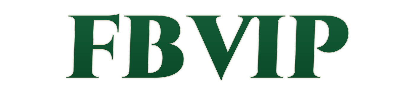 fbvip Casino Logo